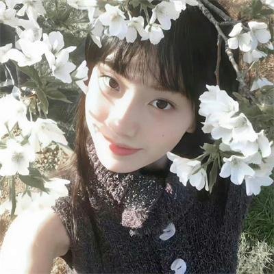 桃花泣血记